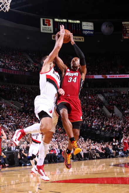 鲜明对比 鲜明对比