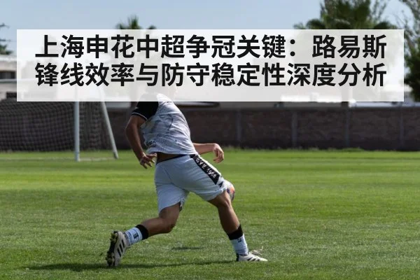 上海申花中超争冠关键：路易斯锋线效率与防守稳定性深度分析（hth）